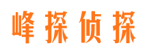 六枝外遇出轨调查取证